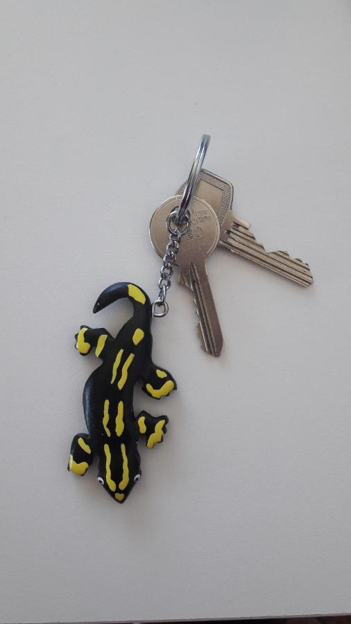 Ferienwohnung Siesta Bad Harzburg Exteriör bild